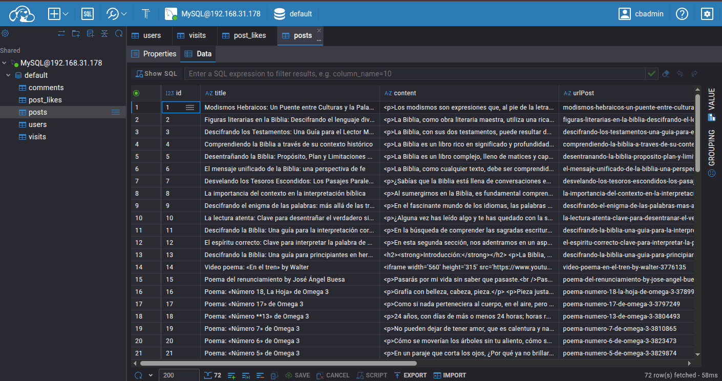 Screenshot of DBeaver Web GUI